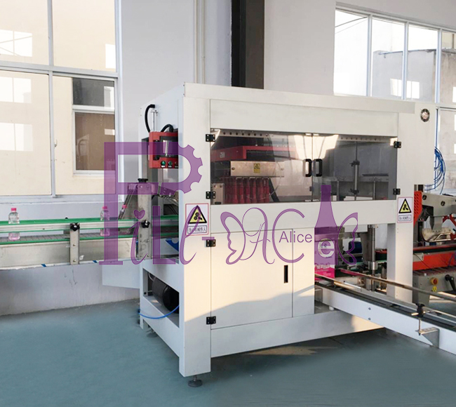 Carton Packing Machine-4