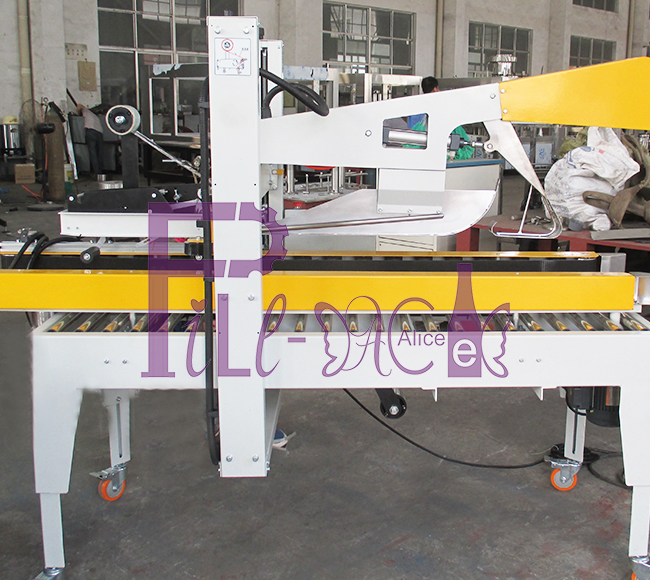 Carton Packing Machine-2