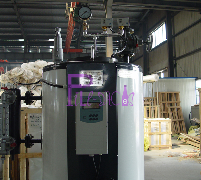 200KgPH LPG Steam Boiler